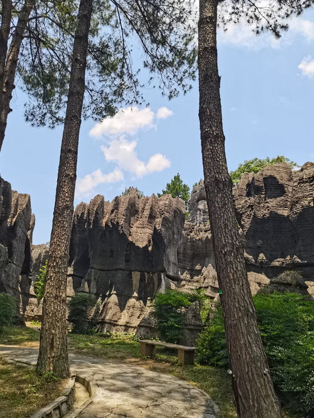 Wansheng Stone Forest 🌳 ☀️ 