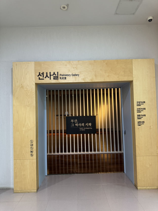 부산박물관 -선사실을 가다
