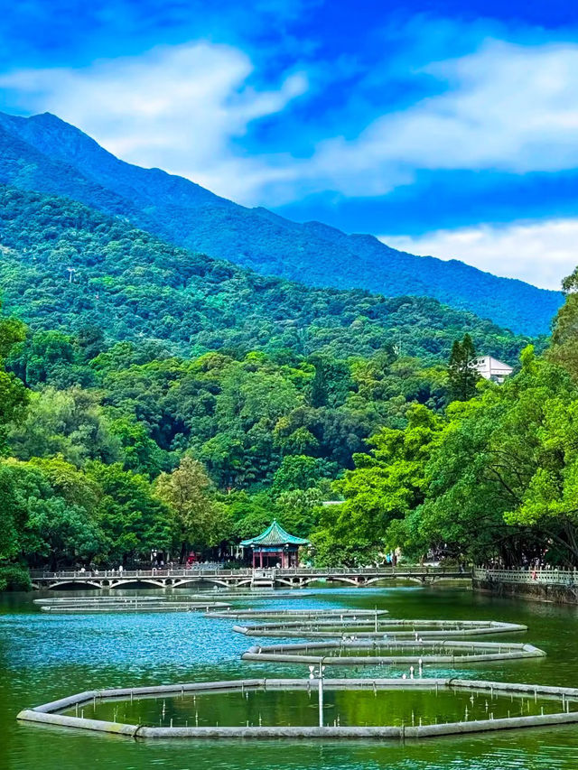 Weekend Escape | Explore the Taoist Wonderland of Luofu Mountain, Huizhou ⛰️