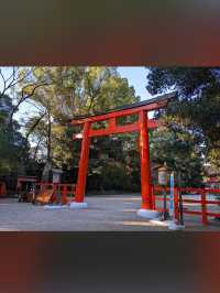【下鴨神社】森と水に包まれる聖地🌿みたらし団子の発祥地で心清める旅