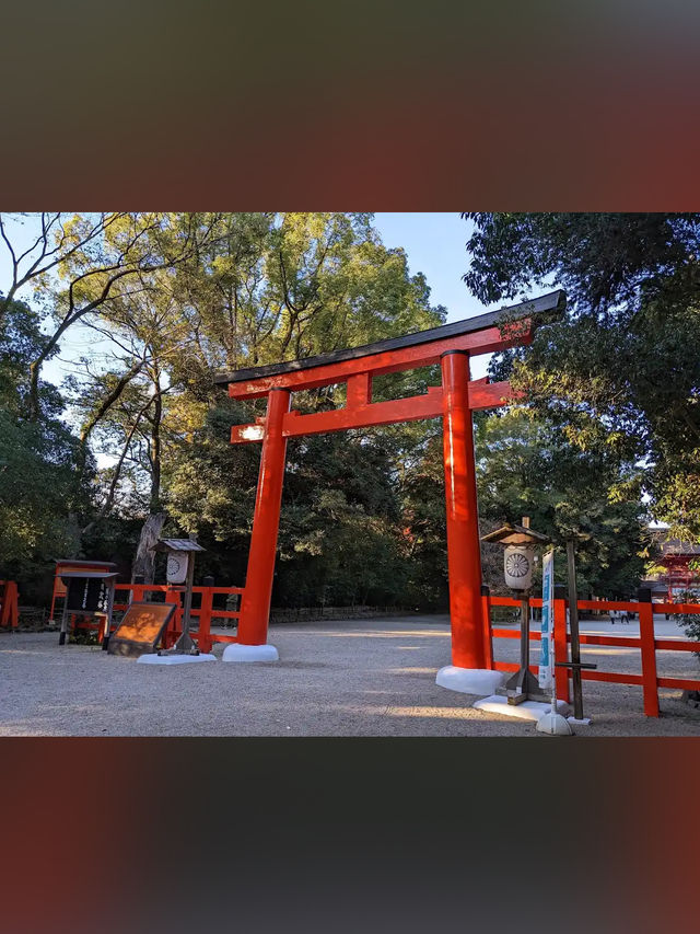 【下鴨神社】森と水に包まれる聖地🌿みたらし団子の発祥地で心清める旅