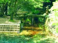 【山口】弁財天のご利益を授かれる「別府弁天池」