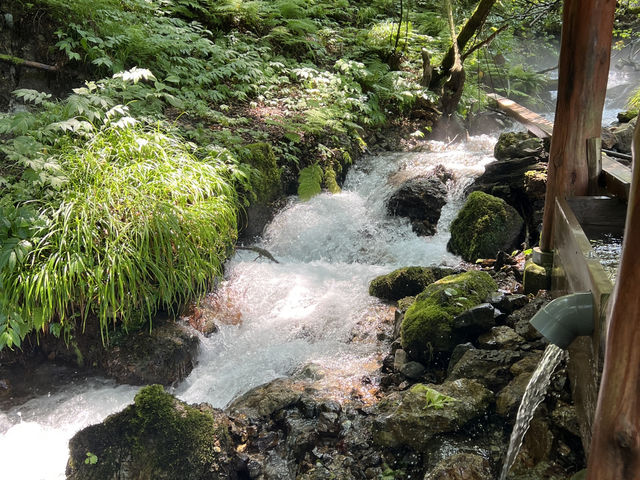 湛藍至極的青池 青森必去的景點