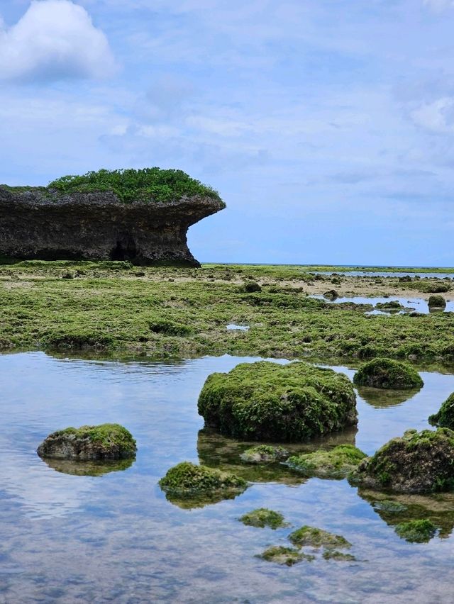 🐚干潮の岩場で“ジンベエザメ”探検。渡具知が魅せる自然のアート。