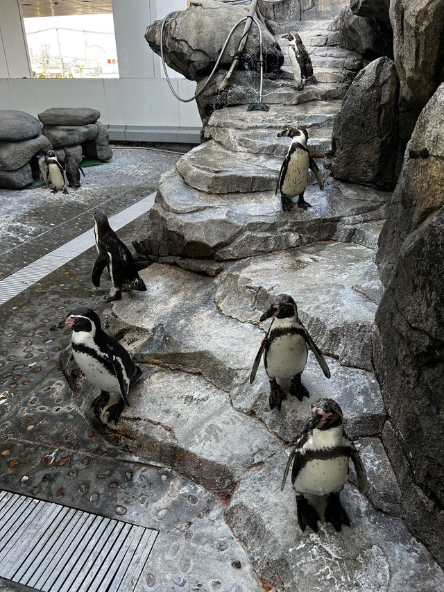 東北の海と生命の魅力が詰まった仙台うみの杜水族館へ行くべき五つの理由🇯🇵✈️🌏