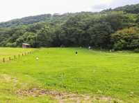 【栃木県】 那須の雄大な自然に暮らす動物たちの王国『那須どうぶつ王国』