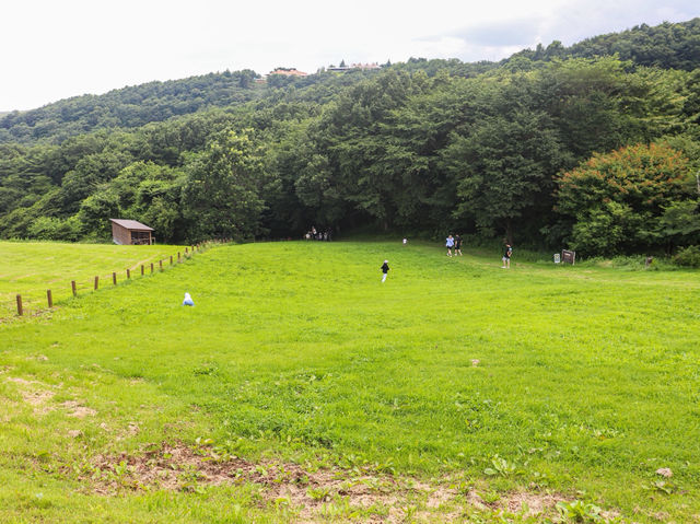 【栃木県】 那須の雄大な自然に暮らす動物たちの王国『那須どうぶつ王国』