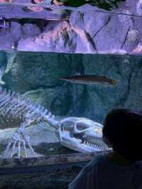 Sea Life Bangkok Ocean World จ.กรุงเทพฯ