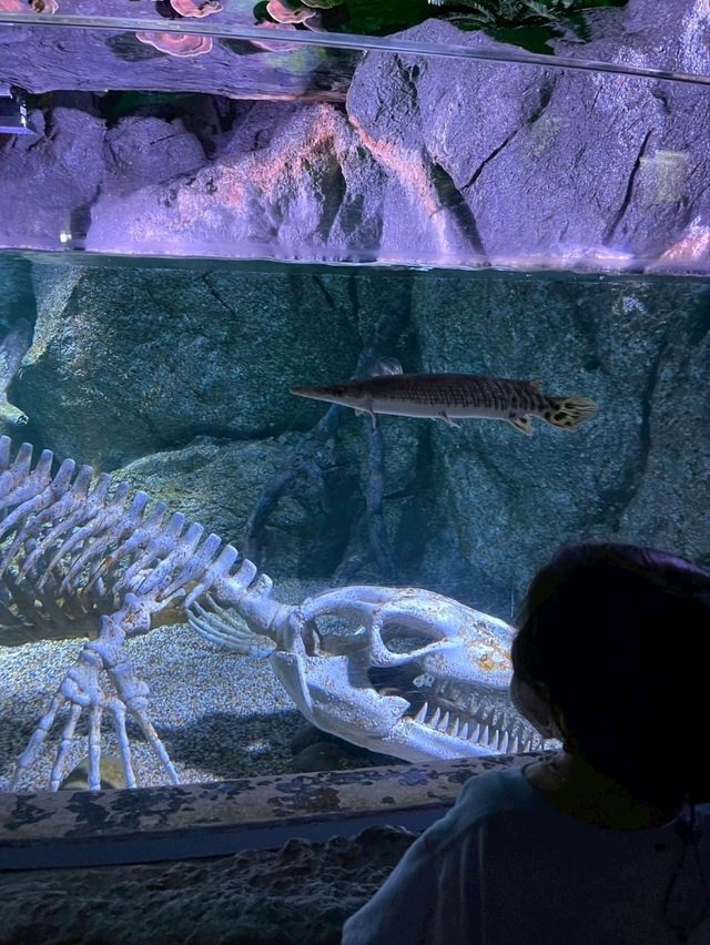 Sea Life Bangkok Ocean World จ.กรุงเทพฯ