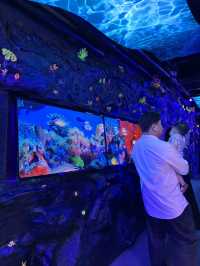 A Splash of Colour – Tropical Fish Time