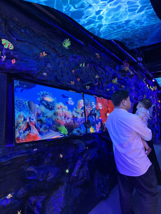 A Splash of Colour – Tropical Fish Time