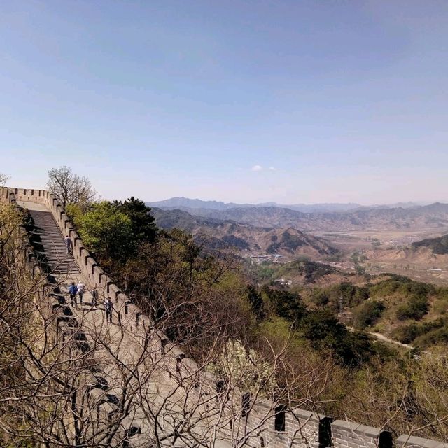 The Great Wall's Green Heart: Discovering Mutianyu's Wild Beauty