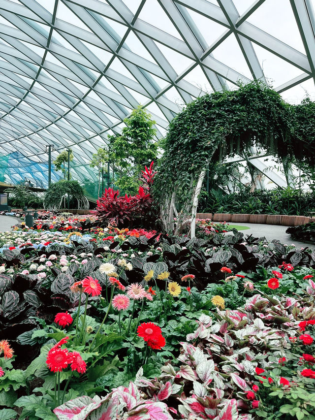 Petal Garden at Jewel Changi – Colourful Floral Wonderland