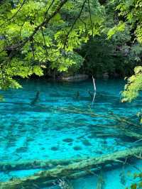 Where Nature Paints with Magic: Discovering Jiuzhaigou
