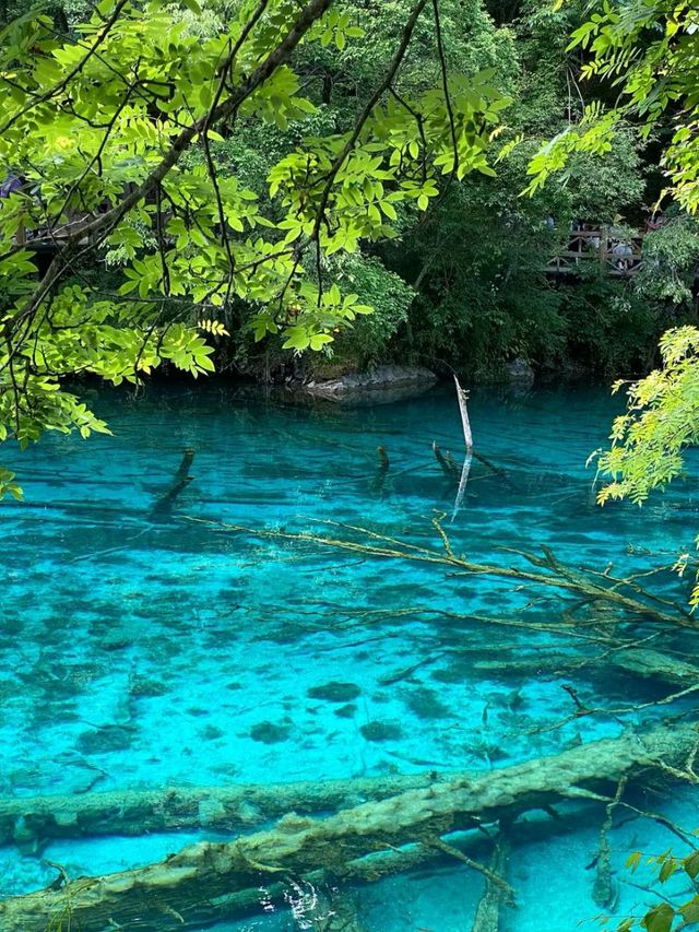 Where Nature Paints with Magic: Discovering Jiuzhaigou
