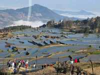 Yuanyang Hani Rice Terraces (Yunnan)