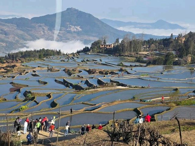 Yuanyang Hani Rice Terraces (Yunnan)