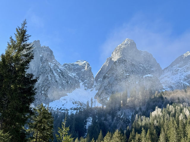 고요한 자연이 숨 쉬는 곳, 고사우제