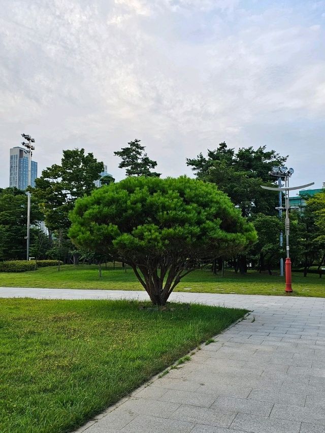 인천 송도 미추홀 공원 자연스러운 곳