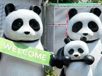 🐼 台北市立動物園 - 城市中的野生秘境