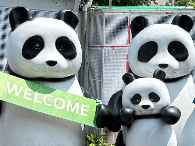 🐼 台北市立動物園 - 城市中的野生秘境
