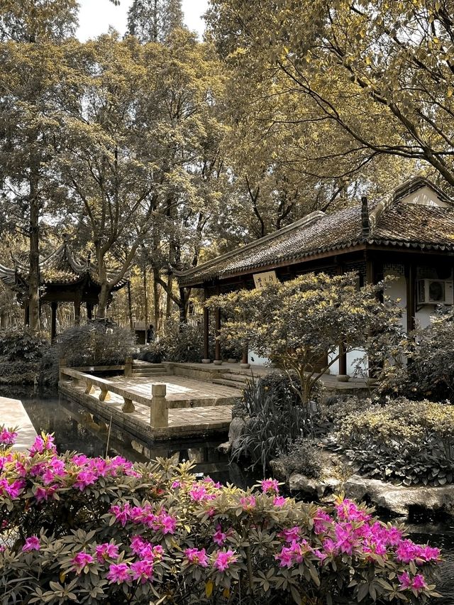 “Serenity by the Water Town”