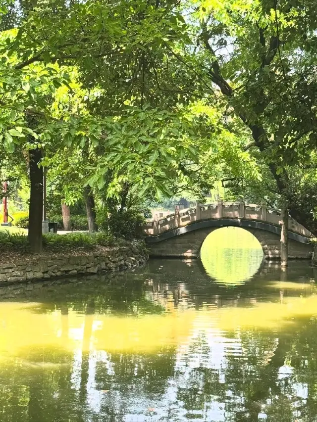 A Leisurely Day at Chengdu Renmin Park