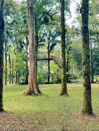 Bali Botanic Garden: Nature’s Retreat in Bedugul
