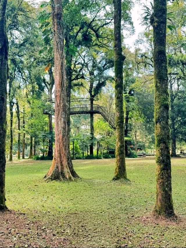 Bali Botanic Garden: Nature’s Retreat in Bedugul Bali Botanic Garden: Nature’s Retreat in Bedugul