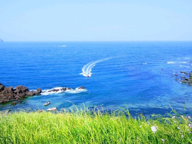 ソウルから気軽にいける韓国のハワイ、チェジュ島