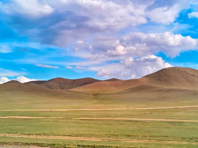 Grassland Paradise