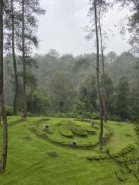 A Thrilling Sensation Crossing the Wood Bridge in Orchid Forest Cikole