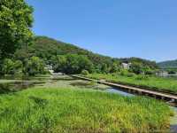 도심 속 여유, 송산근린공원 산책