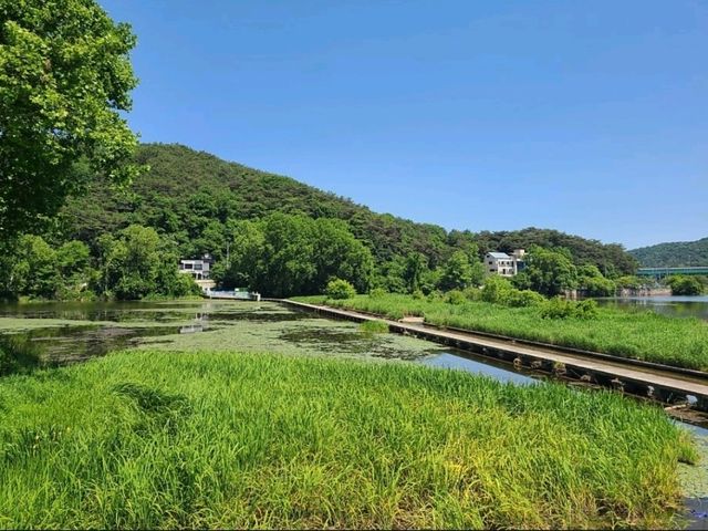 도심 속 여유, 송산근린공원 산책