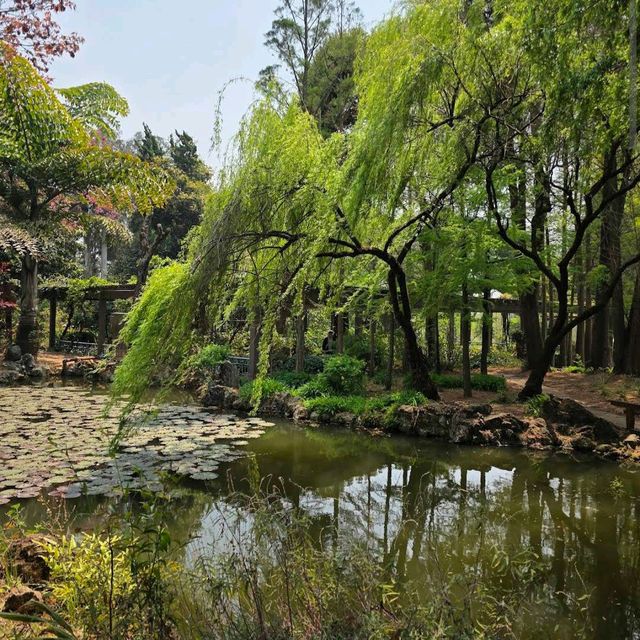 Kunming Botanical Garden – Kunming Kunming Botanical Garden – Kunming