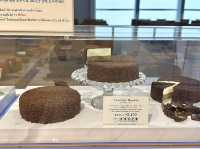 삿포로 핫플 여행지 추천