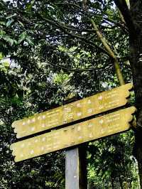 🌿「城市的喧囂之外,步入象山,心跟著雲走。」