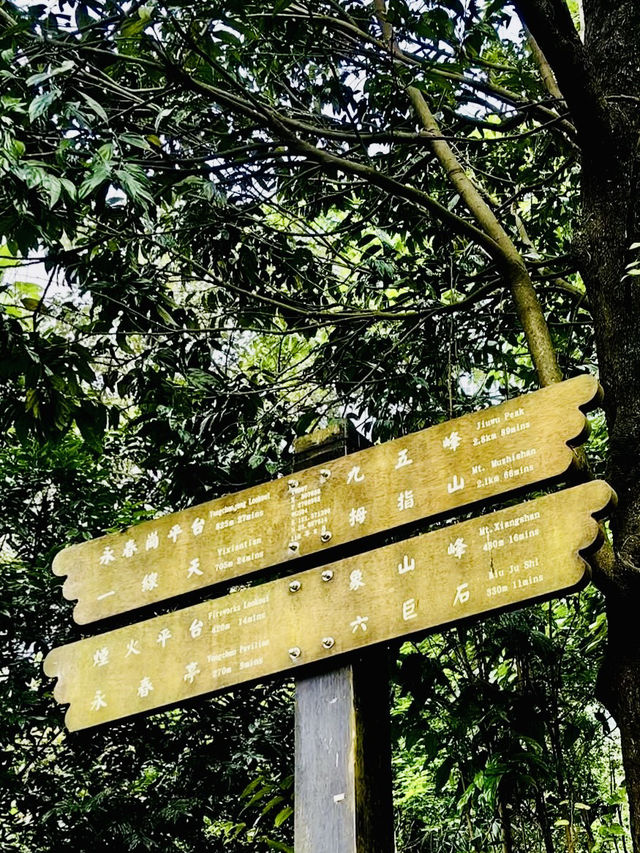 🌿「城市的喧囂之外,步入象山,心跟著雲走。」 🌿「城市的喧囂之外,步入象山,心跟著雲走。」