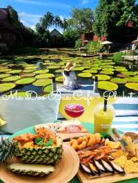 泰國布吉人氣航拍✨️ Café☕️ 絕美荷花池《Ma Doo Bua 》