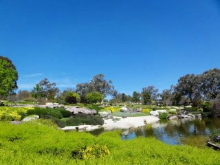 Cowra Sakura Festival: A Touch of Japanese Romance in Australia's Spring