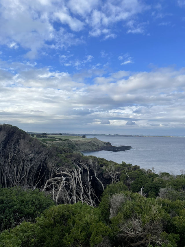 The Nobbies View Point