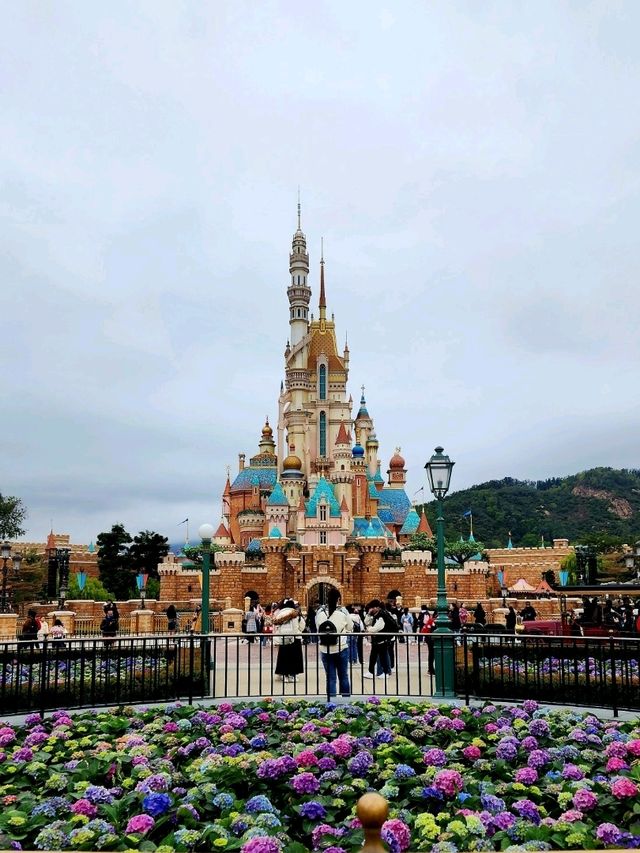 Disney Dreamland✨🏰🎢