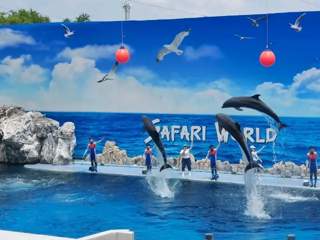 ซาฟารี เวิลด์