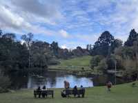 Royal Botanic Gardens Victoria - Melbourne Gardens