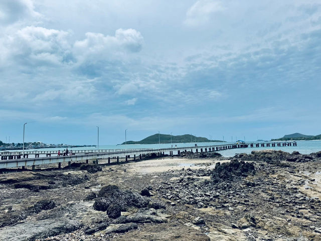 Palyn cafe & eatery ☕️🏝️🌊