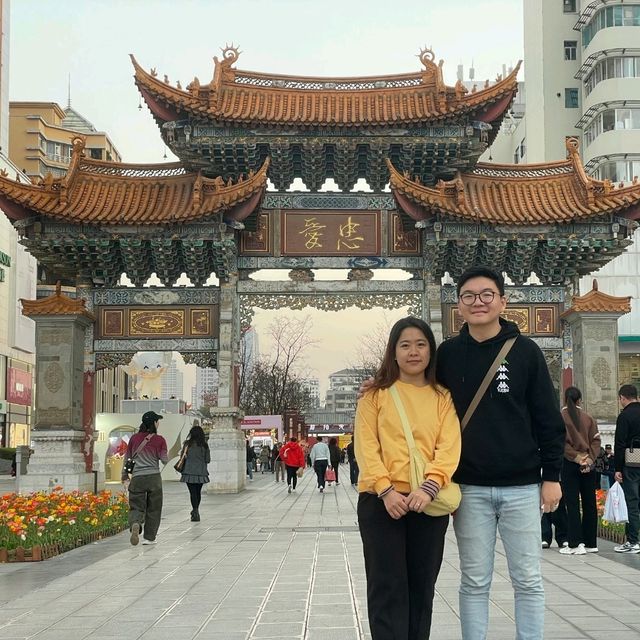 Kunming in Bloom✨