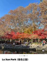 Maple Magic🍁