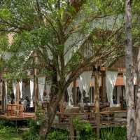 เปิดแมพคาเฟ่ใหม่ นนทบุรี! Olakheng คาเฟ่ในสวน