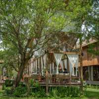 เปิดแมพคาเฟ่ใหม่ นนทบุรี! Olakheng คาเฟ่ในสวน