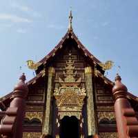 อุทยานหลวงราชพฤกษ์ จ.เชียงใหม่ คนรักดอกไม้ห้ามพลาด